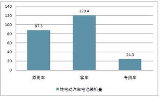 2019-2025年中國(guó)純電動(dòng)汽車市場(chǎng)調(diào)查與投資戰(zhàn)略分析報(bào)告