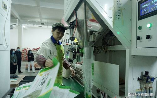 在梅州過(guò)年，肉菜管夠——春節(jié)期間梅州農(nóng)產(chǎn)品供給保障穩(wěn)穩(wěn)的